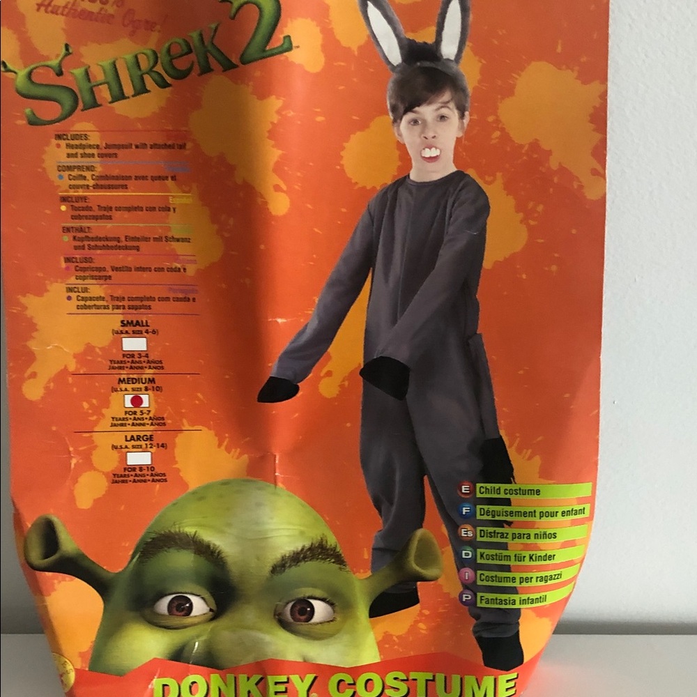 Shrek 2 Donkey Costume for Kids - Gray